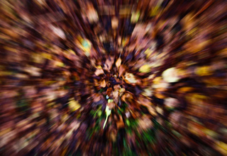 Illustration for article titled Shooting Challenge Fall Leaves Gallery 4